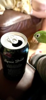 IMG_3060.jpeg
