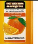 IMG_1635.jpeg