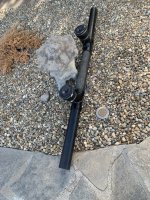 IMG_0318.jpeg