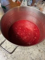 IMG_0910.jpeg
