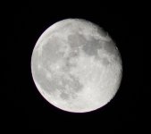 IMG_3009crop.JPG