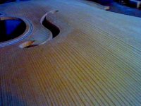 violin dæk2.jpg