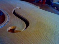 violin dæk1.jpg