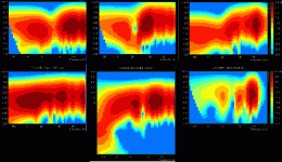 sonograms.gif