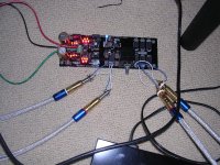 close up B1.JPG
