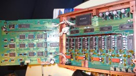 p1020644_845x475.jpg