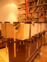 cuvy chang build 008 (384 x 512).jpg