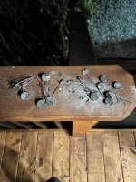 IMG_5299.jpeg