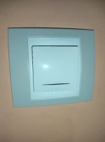 IMG_20241008_201254.jpg