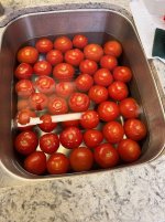 IMG_0958.jpeg