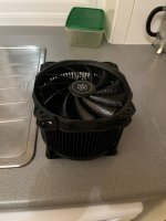 IMG_8207.jpeg