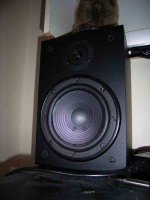 rimg0623.jpg