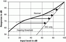 cochlear compression.gif