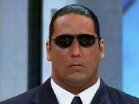 Bear using glasses.jpg