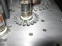 top plate nuts.JPG