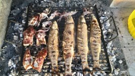 Mediterranean food.jpg