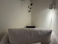 IMG_4340.jpeg