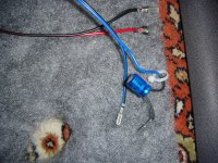 DSC00016.jpg