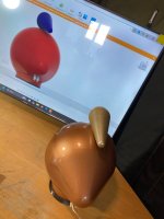 IMG_1633.jpeg