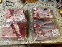 IMG_1176.jpeg