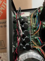 PVA 7_PSU.jpg