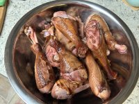 IMG_1186.jpeg