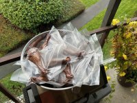 IMG_1191.jpeg