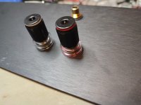 back panel_1.jpeg