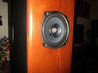 IMG_0458.JPG