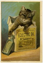 eclectric oil cat pic1.jpg