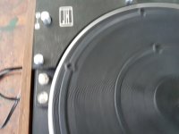 20240908_173252.jpg