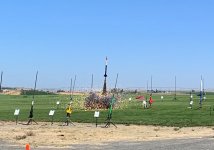 IMG_5582_modified.jpg