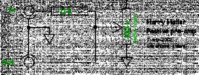 hhaller-passivepre.gif