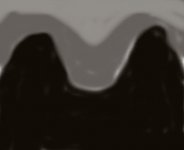 image2.jpg
