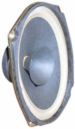 delco-4ohm-6x9frws.jpg