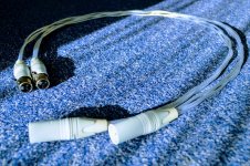 cc xlr 19.JPG cc xlr 19.JPG