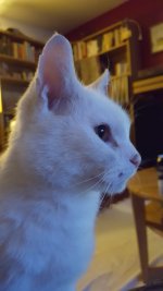 20160428_203327.jpg