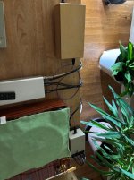 IMG_8217.jpeg