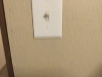 A38C894F-EEC7-4F5D-B2A0-48F37A3B766A.jpeg