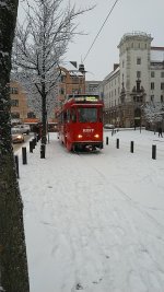 IMG_20241221_145007.jpg