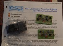 ESP speaker protection & muting.JPG