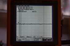 fluke 123 B.JPG