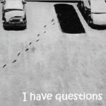 questions.jpg