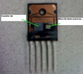 ttrak dissection.jpg
