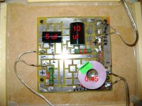 Copy of DSC00331.JPG