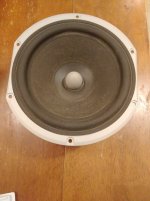 woofer.jpg