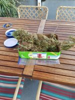 20170813_170114.jpg