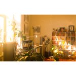 Chakster45-Room-1.JPG