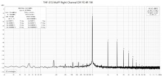 THF-51S MuFF Right Channel DIY FE 4R 10W.jpg