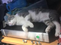 IMG_8924.jpeg